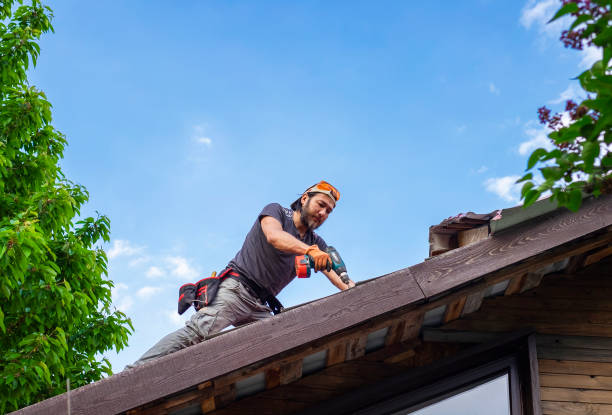Best Green or Eco-Friendly Roofing Solutions  in Westminster, SC