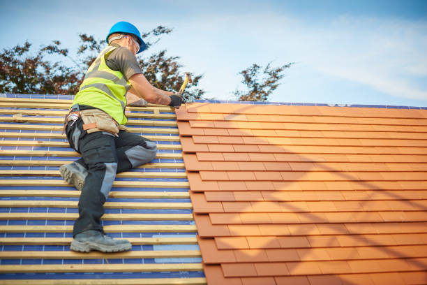 Best Asphalt Shingle Roofing  in Westminster, SC